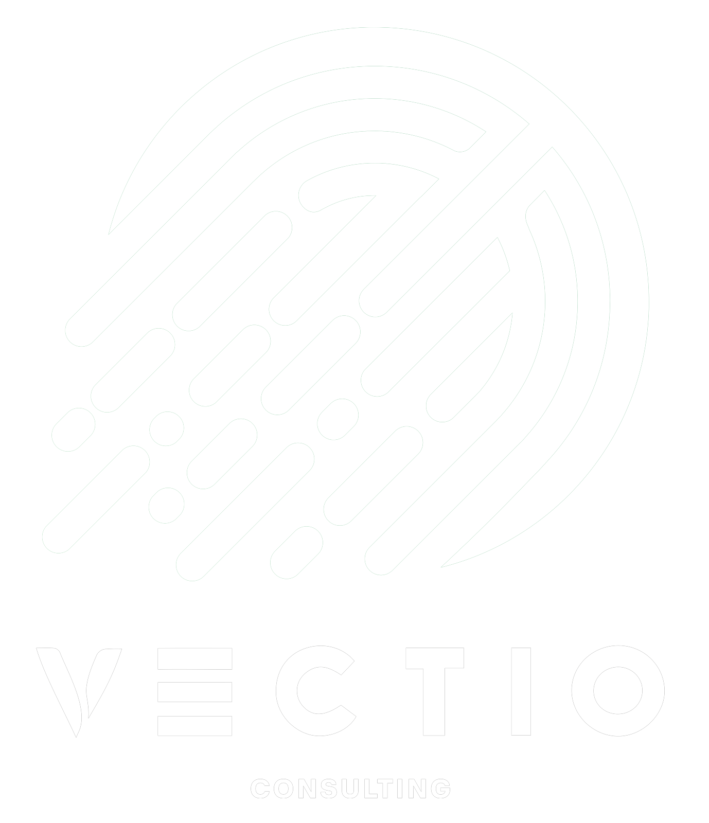 logo vectio consulting blanc
