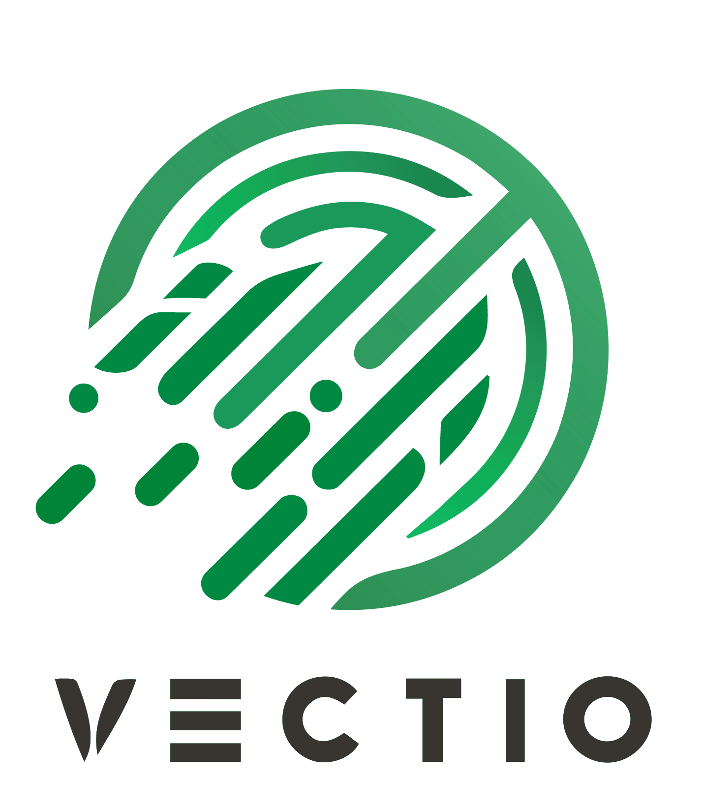 Vectio Consulting