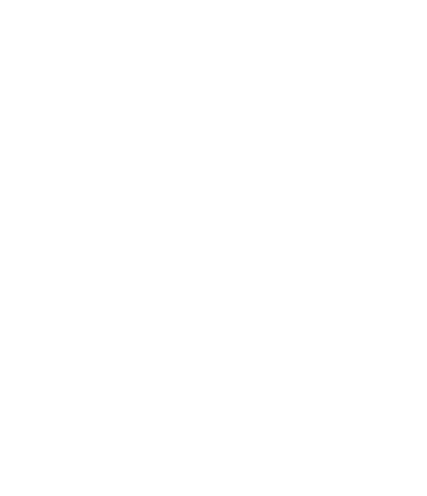 Vectio Consulting